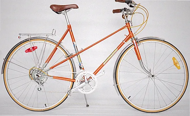 Franche-Comte Mixte 55cm Restored Commuter Cruiser Bike New Paint Parts Vintage