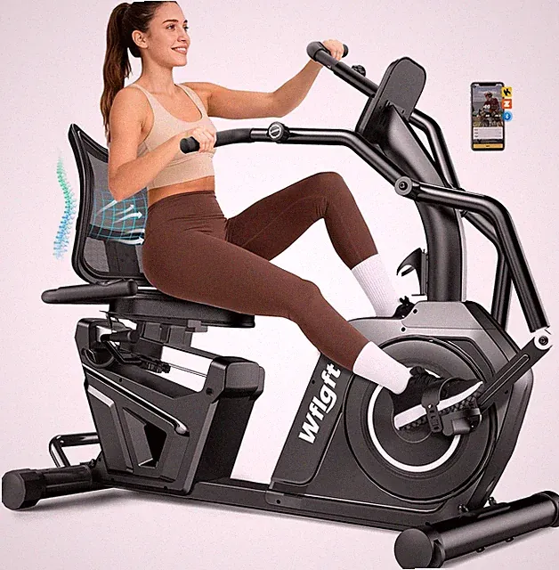 Recumbent Exercise Bikes Home Workout Bike Stationary Bike with Arm Exerciser