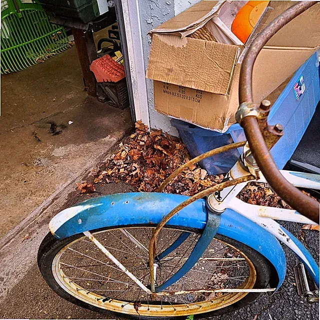 Vintage 1950 Bike